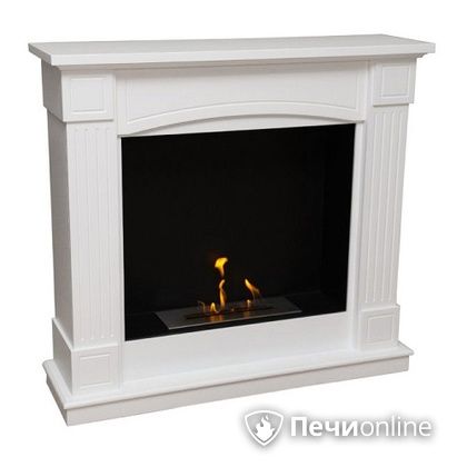 Биокамин Firebird Олимпия белый, напольный в Анапе